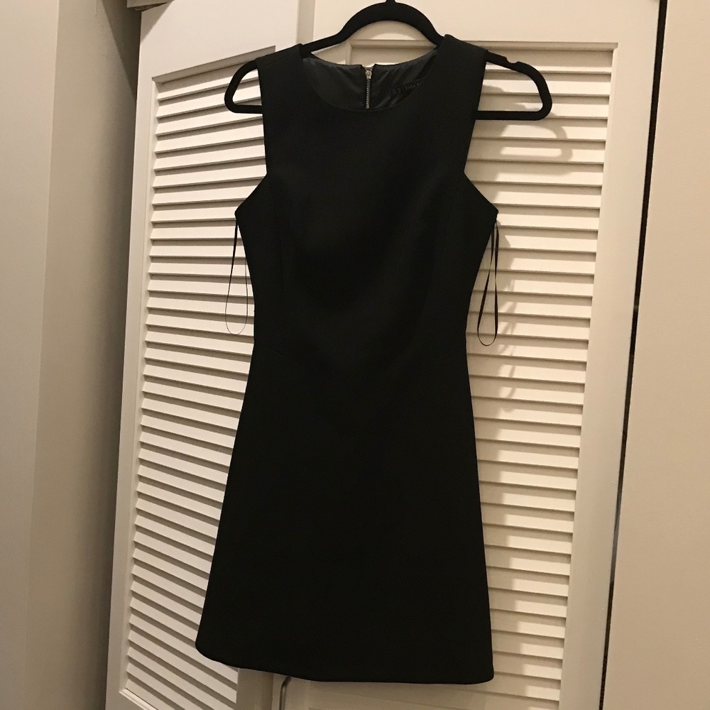 Zara Basic Black A Line Dress